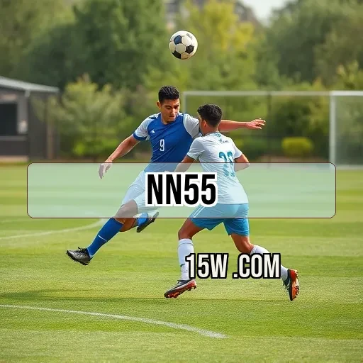 nn55 Simulador